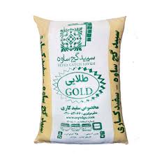 گچ طلایی ساوه